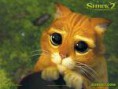 /album/fotogaleria/el-gatito-jpg/